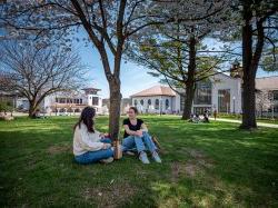 两个学生坐在澳门银银河官方网站登录入口校园的一棵树下